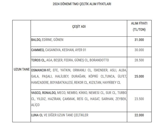 Çeltik Alım Fiyatları Açıklandı