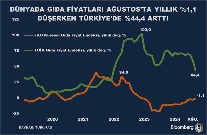 Küresel Gıda Enflasyonu ve Türkiye İlişkisi