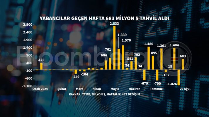 Türkiye Varlık Fonu, Dubai ve Abu Dabi'de Yatırımcılarla Bir Araya Gelecek