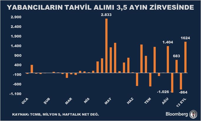 Yurt Dışında Yerleşik Kişilerin Piyasa Hareketleri ve Yatırım Verileri