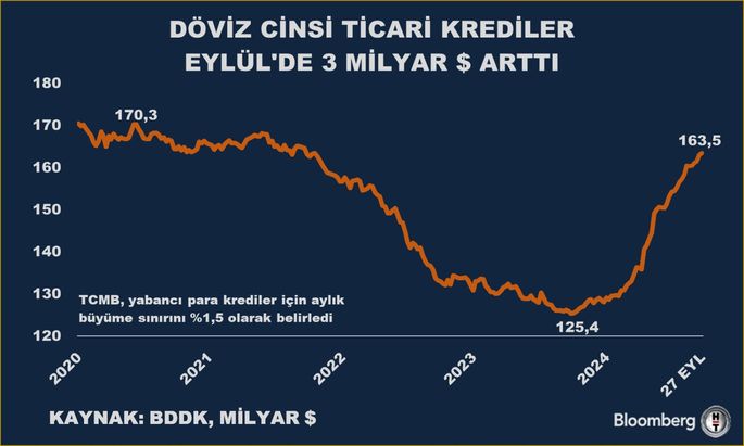 Döviz Cinsi Ticari Kredilerde Artış Trendine Devam
