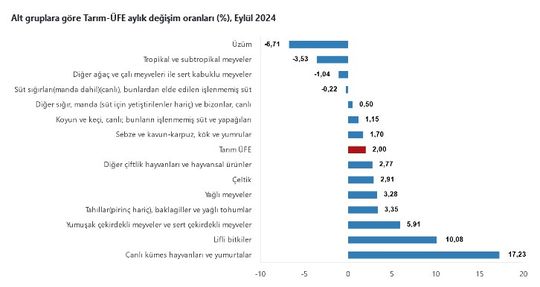 Tarım Ürünleri Üretici Fiyat Endeksi (Tarım-ÜFE) Eylül 2023 Raporu