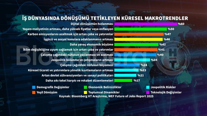 Daron Acemoğlu'nun Refah Paylaşımı ve Yapay Zeka Üzerine Düşünceleri