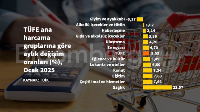 Grafiklerle Ocak enflasyonu