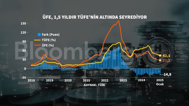 Grafiklerle Ocak enflasyonu