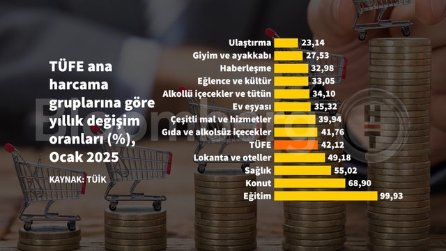 Grafiklerle Ocak enflasyonu