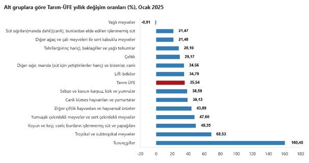 Tarım-ÜFE Ocak 2023 Raporu