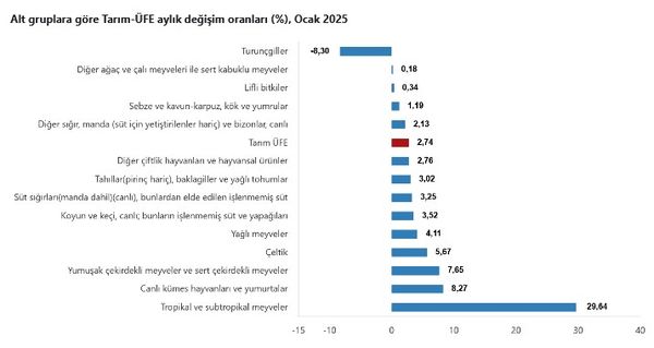 Tarım-ÜFE Ocak 2023 Raporu