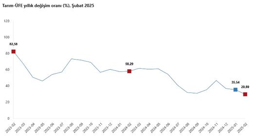 Tarımda Üretici Enflasyonu: Şubat Ayı Raporu