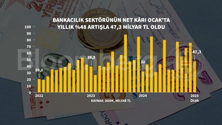 Bankacılık Sektörünün Ocak Ayı Performansı