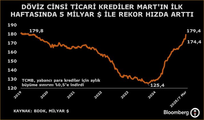 Türkiye'de Dolarizasyon Eğilimi Devam Ediyor
